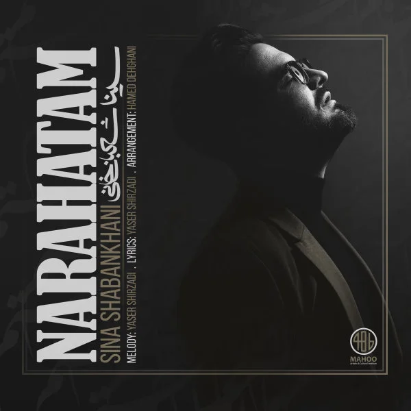 Sina Shabankhani - Narahatam