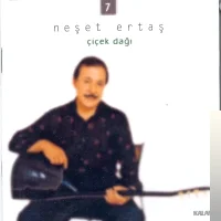 Neşet Ertaş - Yüce Dağlar