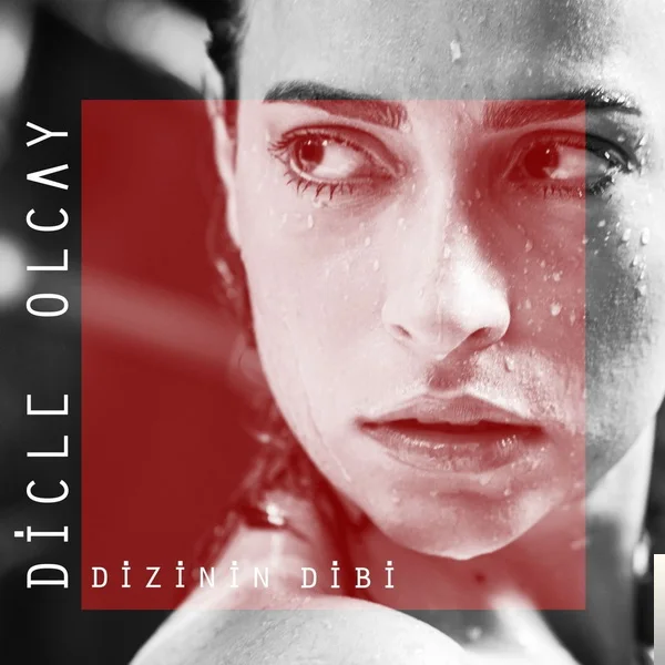 Dicle Olcay - Dizinin Dibi