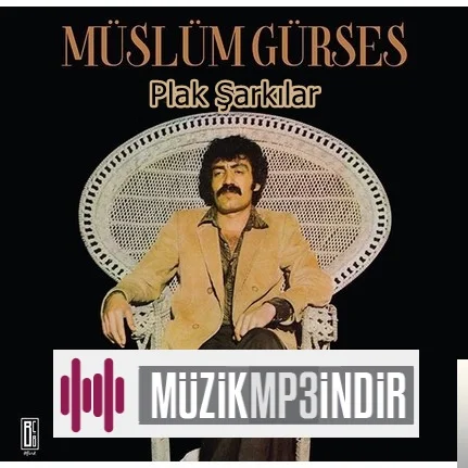 Müslüm Gürses - Unutamazsın (Plak)