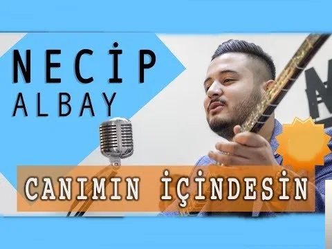 Necip Albay - Kocamışsın Kocamış Dubara