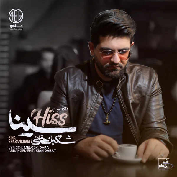 Sina Shabankhani - Hiss