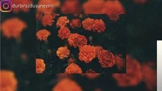 Oğuzhan Bozok - Paslanmış