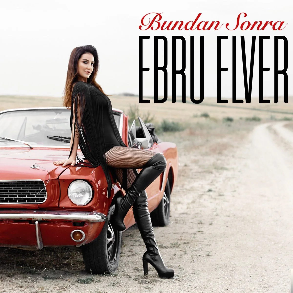 Ebru Elver - Kurşuni Renkler