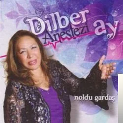 Dilberay - Demedim mi