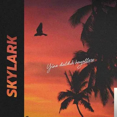 Skylark - feat Özeren-Boşuna
