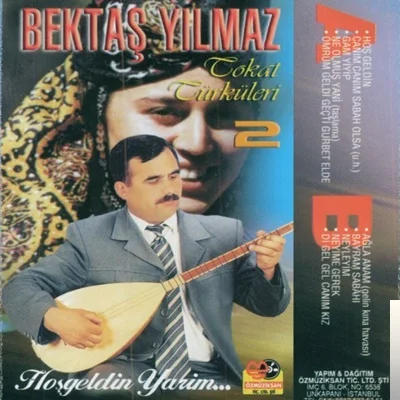 Bektaş Yılmaz - Keltepenin Taşları