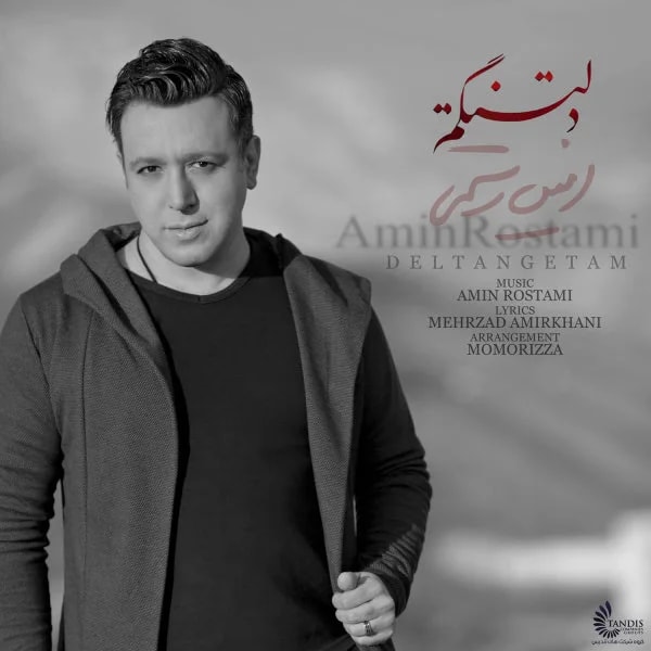 Amin Rostami - Deltangetam