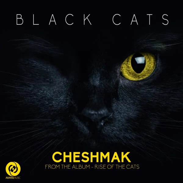 Black Cats - Cheshmak