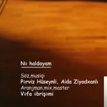 Aida Ziyadxanli - Sevgilim