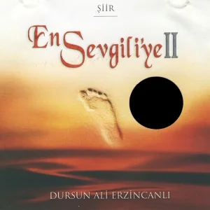 Dursun Ali Erzincanlı - Bedir