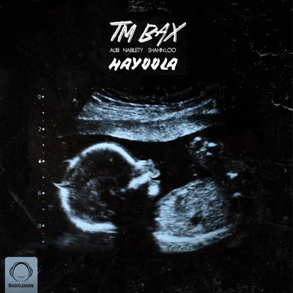 TM Bax - Hayoola