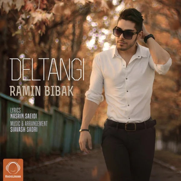 Ramin Bibak - Deltangi