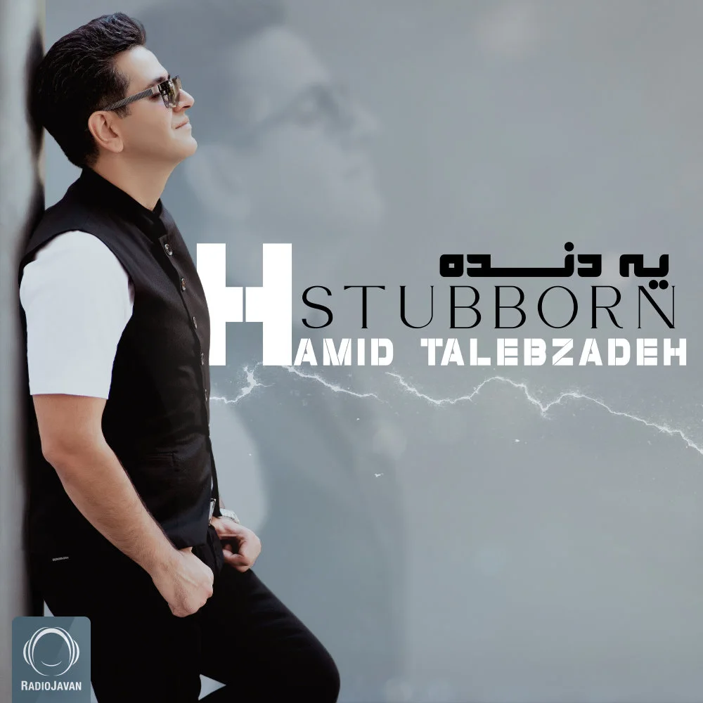 Hamid Talebzadeh - Ye Dande