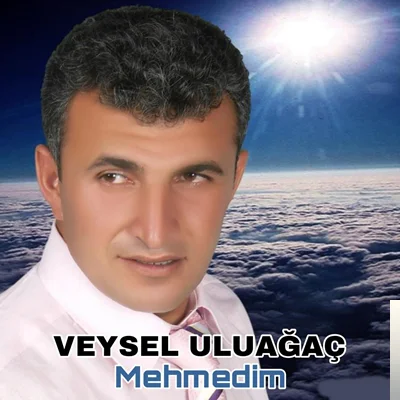 Veysel Uluağaç - Anlarsın