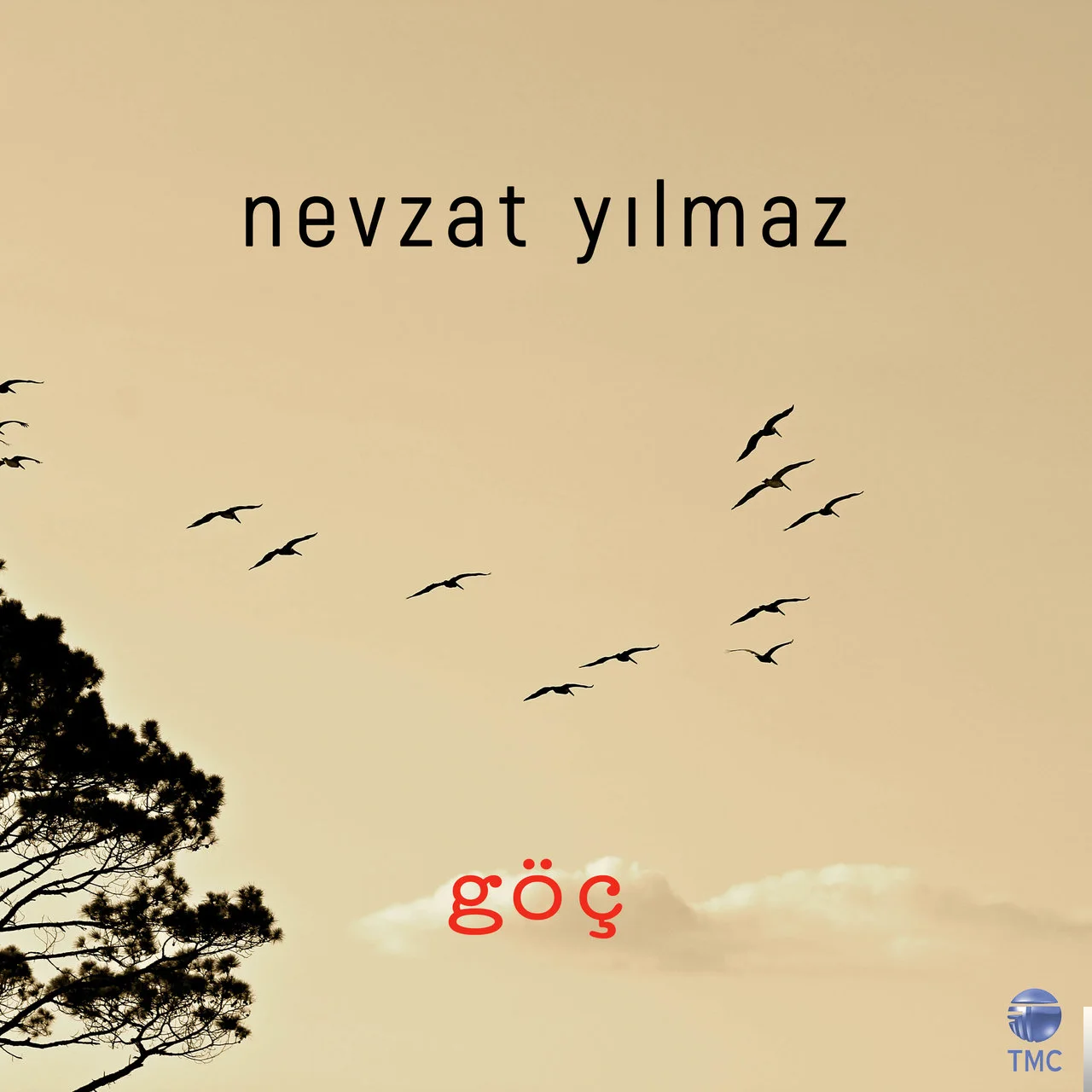 Nevzat Yılmaz - Büyük Adım