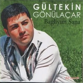 Gültekin Gönülaçar - Hastane Önünde İncir Ağacı
