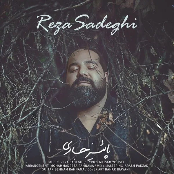 Reza Sadeghi - Paeize Jari