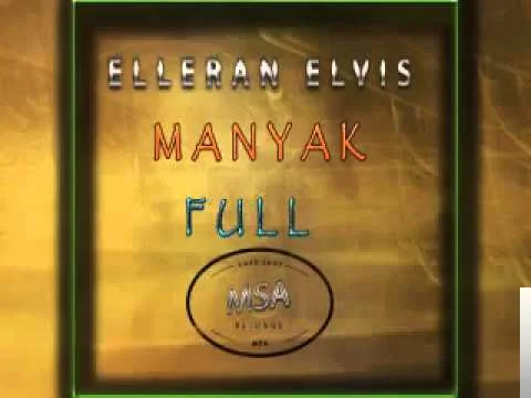 Elleran Elvis - Bir Şizofrenin Hayat Hikayesi