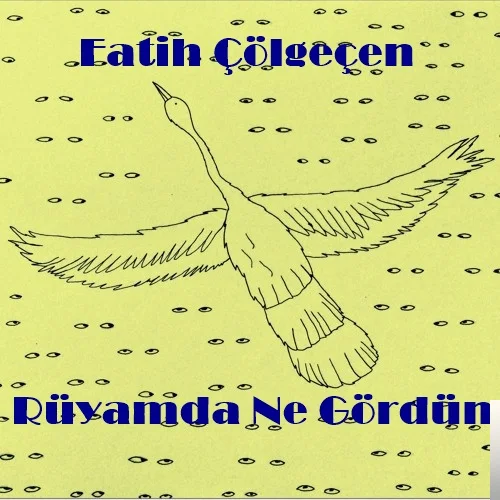 Fatih Çölgeçen - Taş Parçaları
