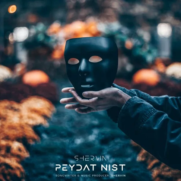 Shervin Hajipour - Peydat Nist