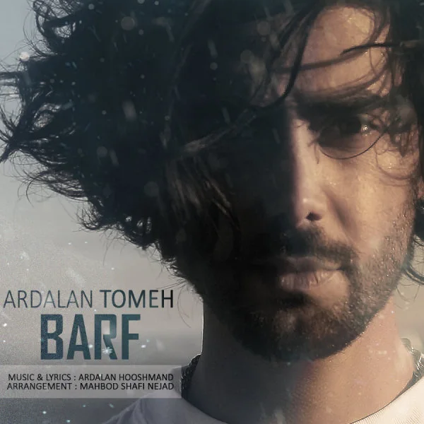 Ardalan Tomeh - Barf