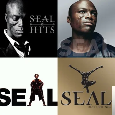 Seal - If You Dont Know Me