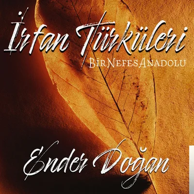 Ender Doğan - Ey Erenler