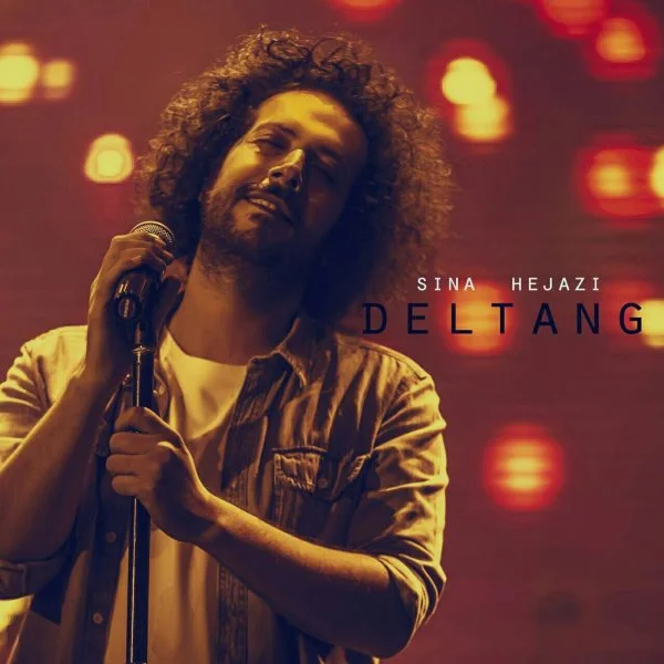 Sina Hejazi - Deltang