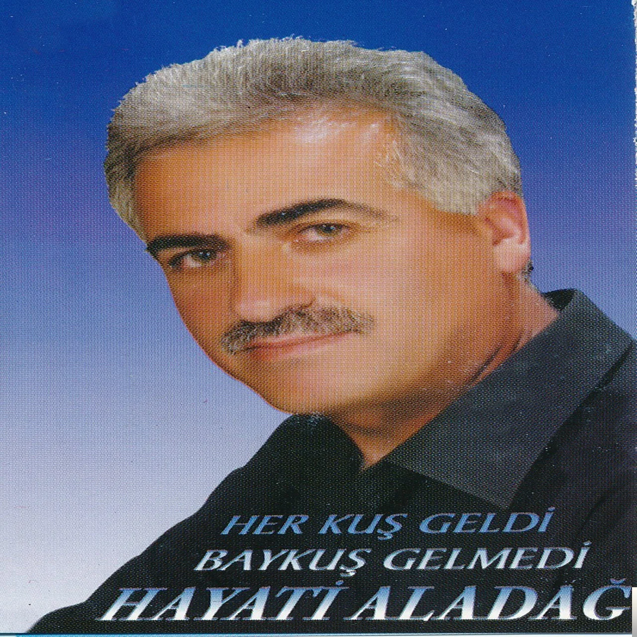 Hayati Aladağ - Suya da Düştü