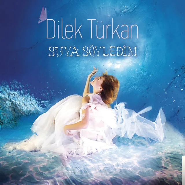 Dilek Türkan - Sensiz