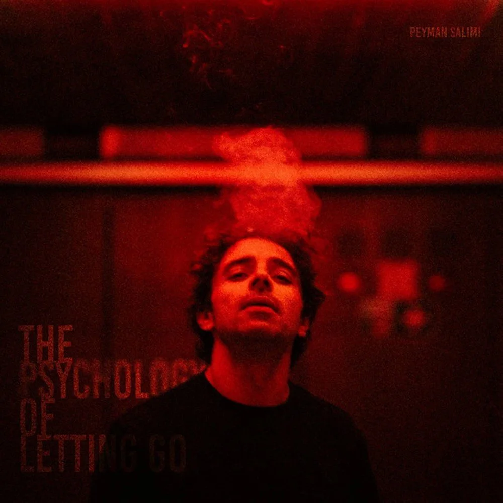 Peyman Salimi - Frigid Hour Of Mind