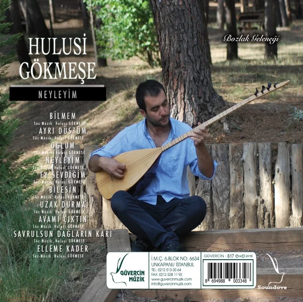 Hulusi Gökmeşe - Gördün mü Yıllar Geçmiş