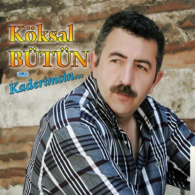 Köksal Bütün - Düşmedim