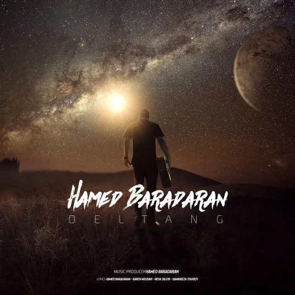 Hamed Baradaran - Deltang