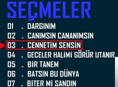 Hüseyin Altın - Senden Habersiz