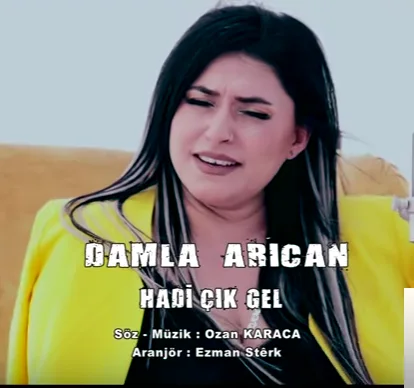 Damla Arıcan - Değdi mi