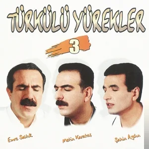 Türkülü Yürekler - Bul Getir