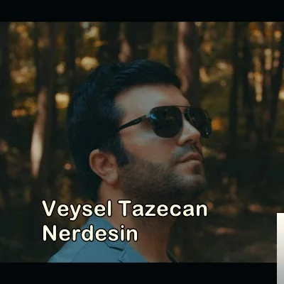 Veysel Tazecan - feat Ahmet Altın-Nerdesin