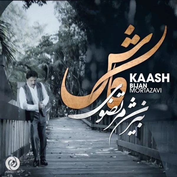 Bijan Mortazavi - Kaash