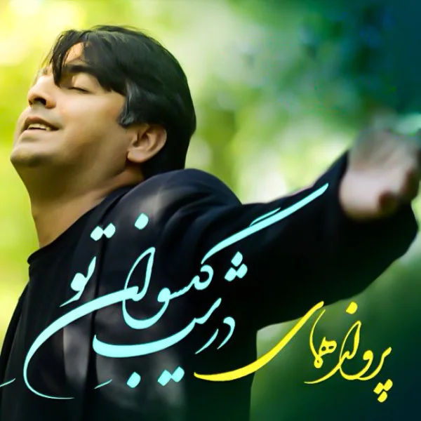 Parvaz Homay - Aabe Talab Nakarde