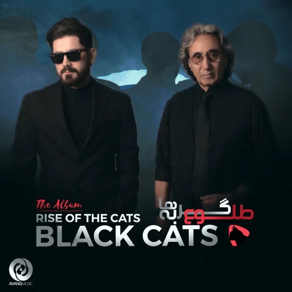 Black Cats - Barbie
