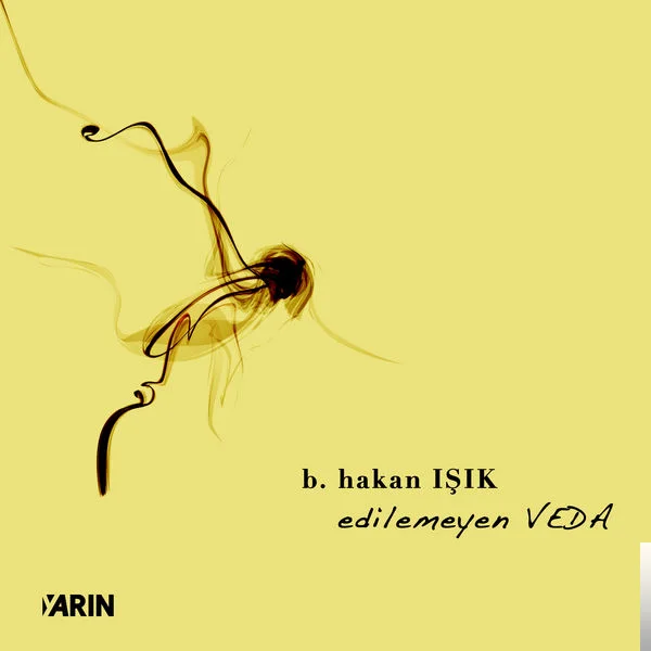 B.Hakan Işık - Sen Bu Cihan Mülkünü