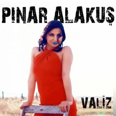 Pınar Alakuş - Valiz