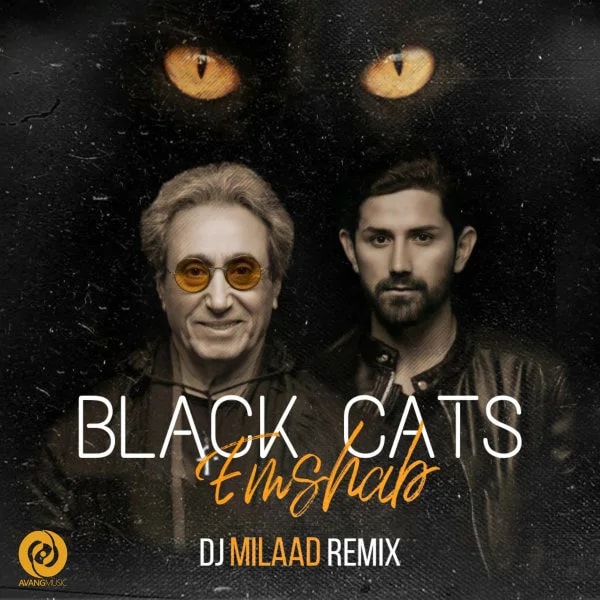 Black Cats - Emshab (Remix)