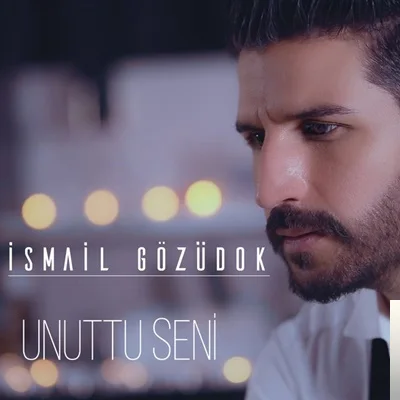 İsmail Gözüdok - Unuttu Seni