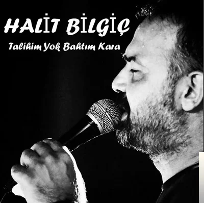 Halit Bilgiç - Ne Vardı da Gittin