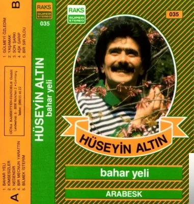 Hüseyin Altın - Bir Mecnun Yarattın