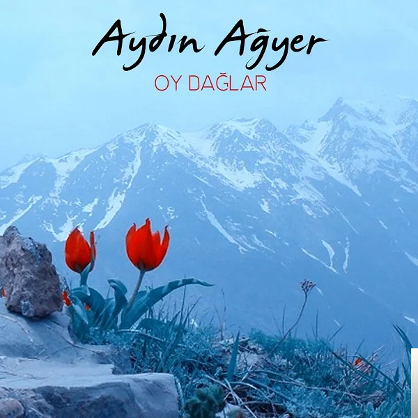 Aydın Ağyer - Düzgün Baba
