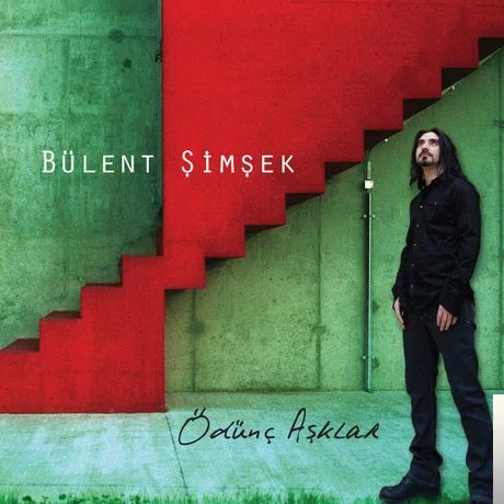 Bülent Şimşek - Kanadı Kırık